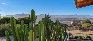 IMG_20240417_165345