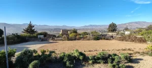 IMG_20240417_165748